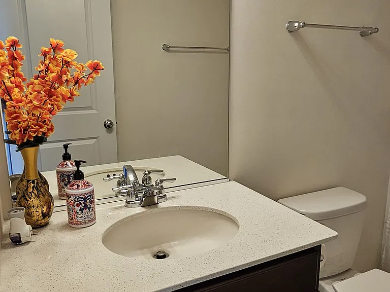 483 Watercress Dr — Photo 29