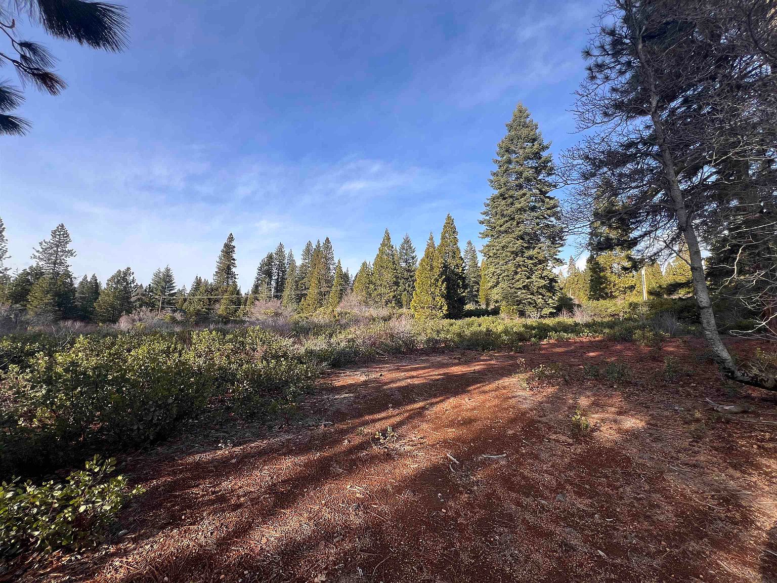 LOT 1 Scenic Estates Trl Mount Shasta CA 96067 MLS 20240061 Zillow   3b6e13540b7032e44cd004bf7045b76c Cc Ft 1536 