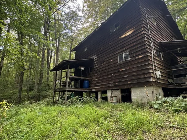 237 Spy Hill Ln, Durbin, WV 26264