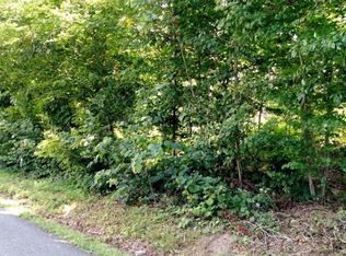 Tbd Kincheloe Rd, Fall Branch, TN 37656