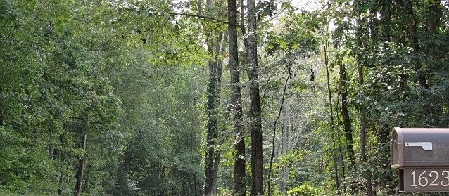 Exterior Neighborhood (street photo)