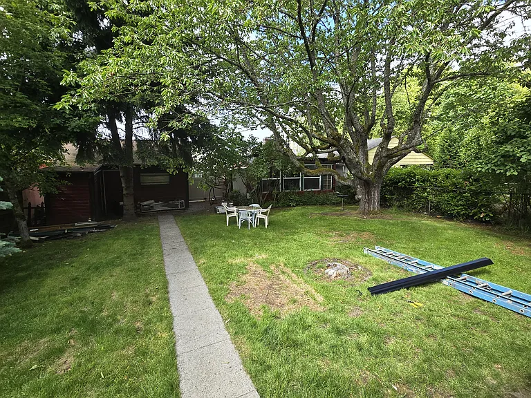 Back Garden