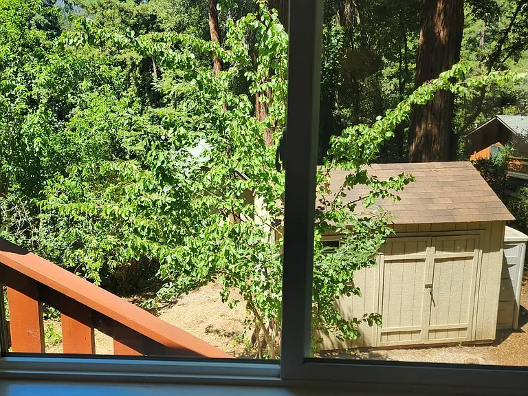 184 Madrona Rd — Photo 13