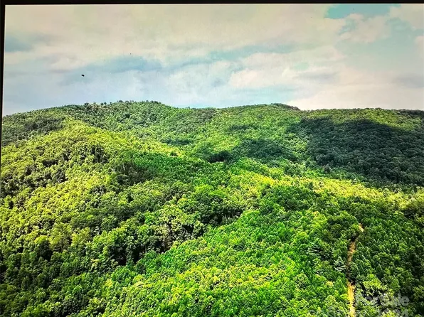 0 Haystack Rd, Thurmond, NC 28683