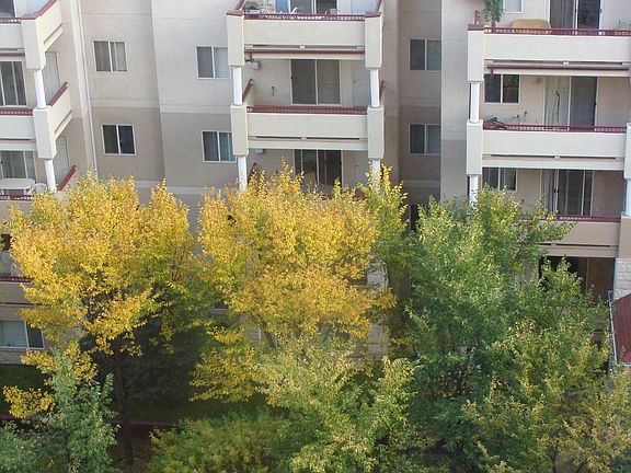 4th image of 777 3rd Ave SW #408