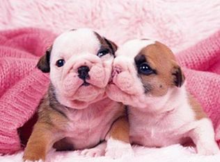 1601 Valley Rd APT D3, Champaign, IL 61820