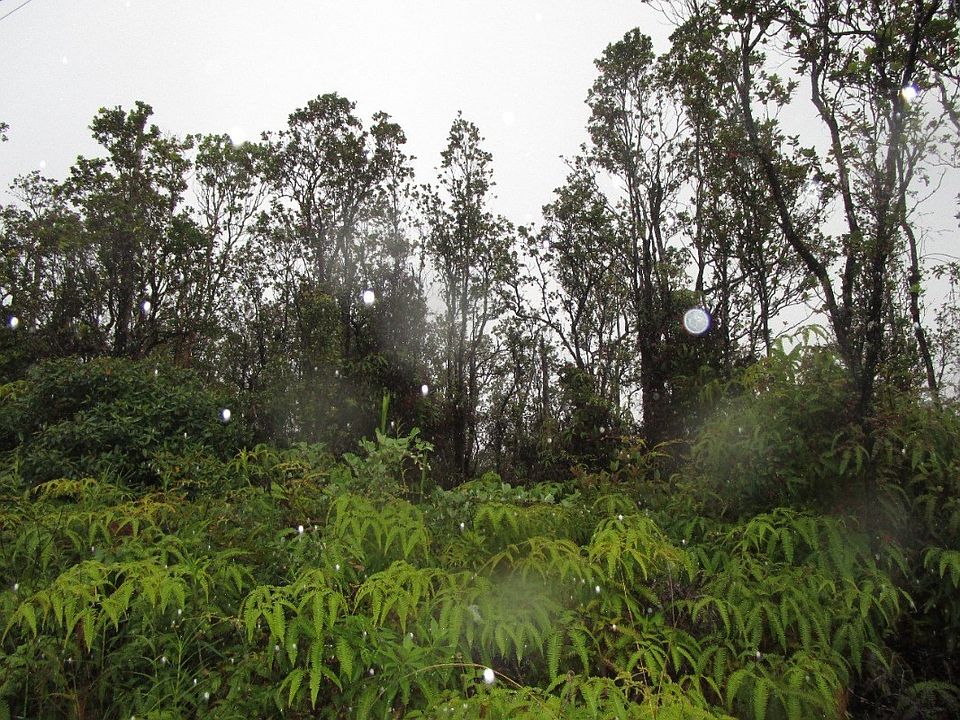 2nd image of Ohialani Rd Lot 18