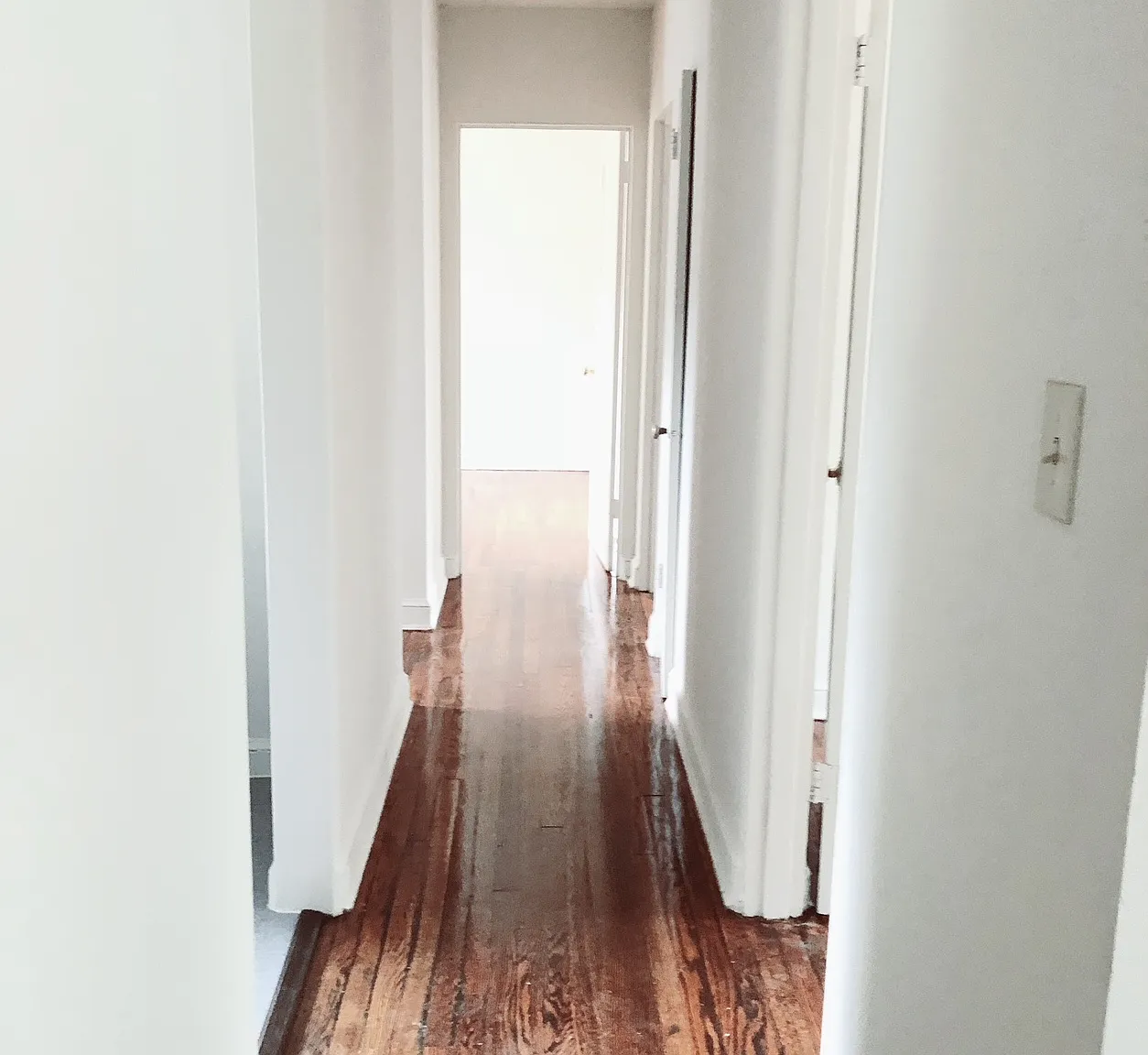 3 bed, 900 sqft, $1,695 — Photo 1