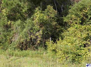 Hartsville Ruby Rd, Patrick, SC 29584