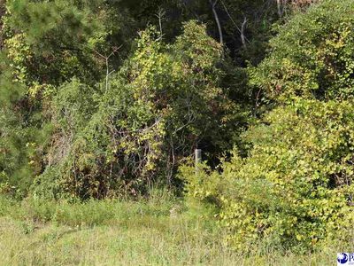 Hartsville Ruby Rd, Patrick, SC, 29584