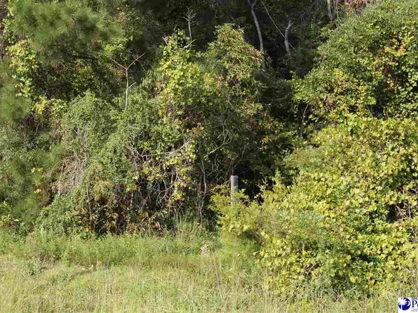 Hartsville Ruby Rd, Patrick, SC 29584