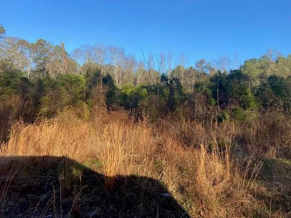 1600 County Road 39, Paulding, MS 39348