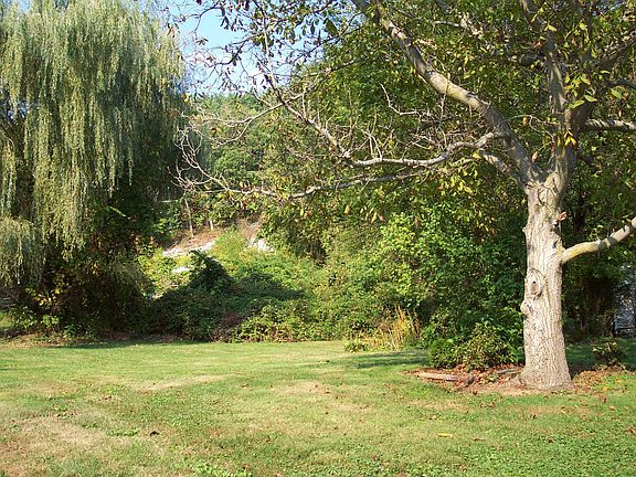 side yard  & 1+ acre lot