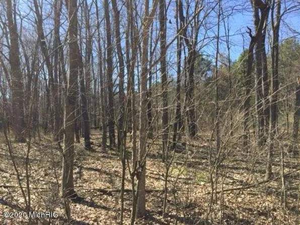 42nd Ave, Paw Paw, MI 49079