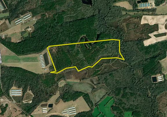 4th image of Off Of Reedsford Rd Lot Wp001