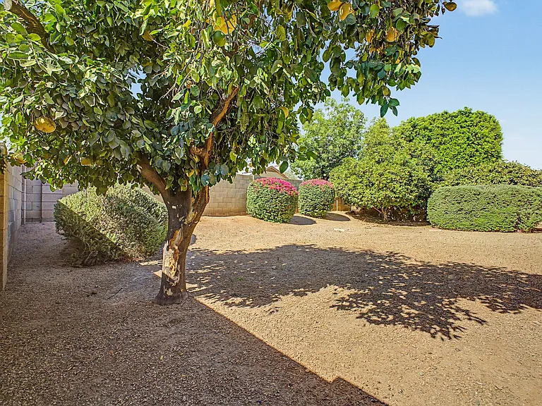4432 E Meadow Dr — Photo 40