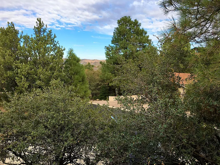 916 Forest Hylands Rd #SHORT TERM-FURNISHED — Photo 24
