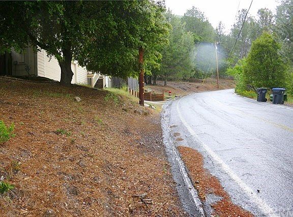 3rd image of 3647 Pine Terrace Dr