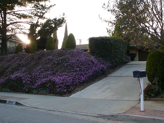 Curb view of driveway
