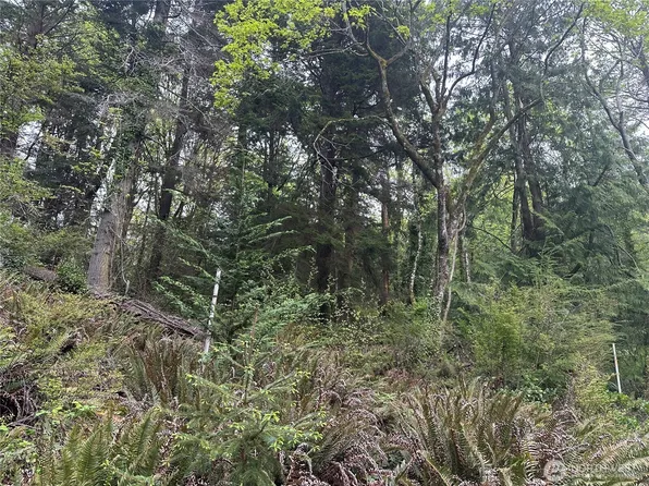 13 NE Shore Drive, Indianola, WA 98342