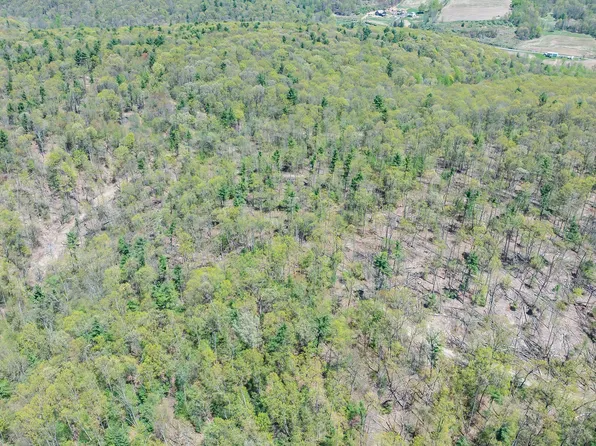 LOT 4 Patton Hill Rd, Millville, PA 17846