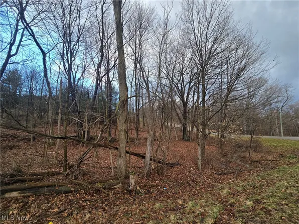 Apple Valley Dr, Howard, OH 43028