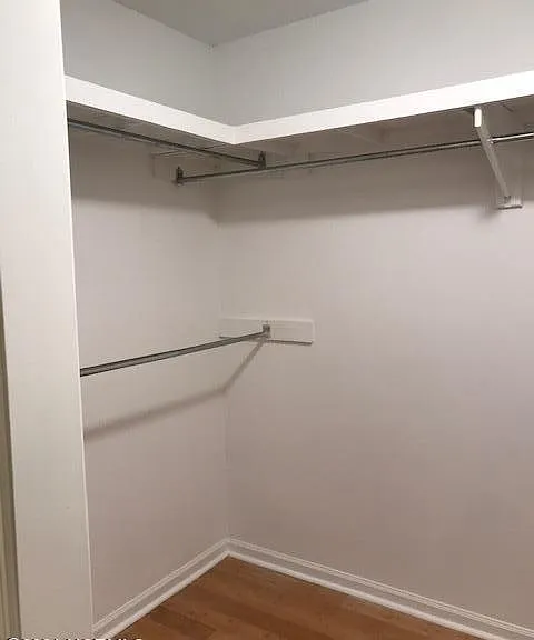 8413 Bald Eagle Ln — Photo 19