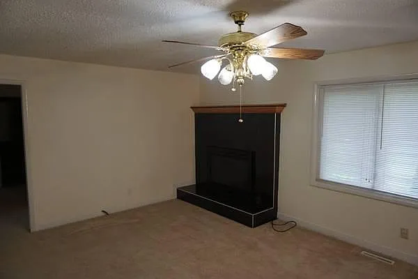 233 W Morningside St — Photo 13