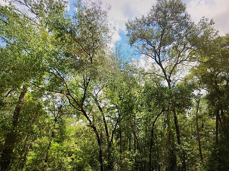 2nd image of 6691 N Bedstrow Boulevard