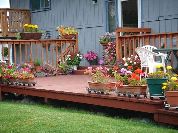Summer Flowers