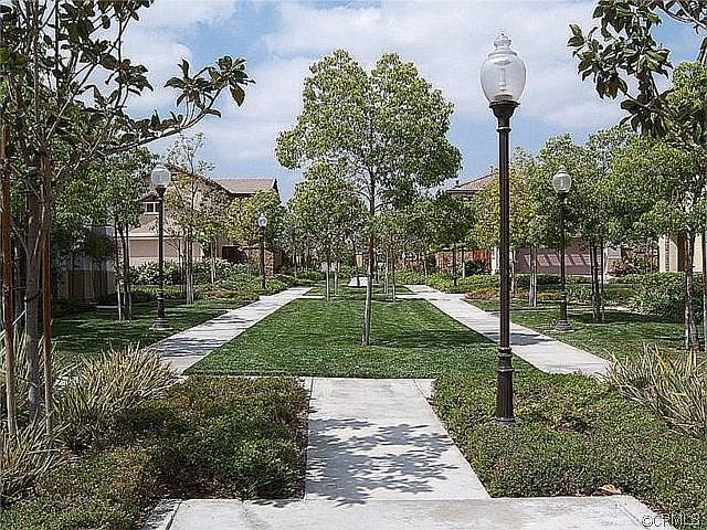 Front yard