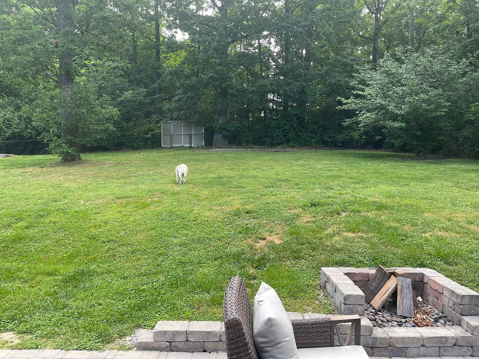 3 bed, 1902 sqft, $2,800 — Photo 3