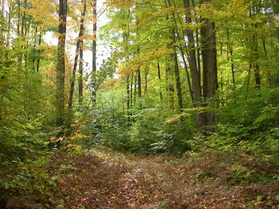 N Greenway Dr, Frederic, MI, 49733