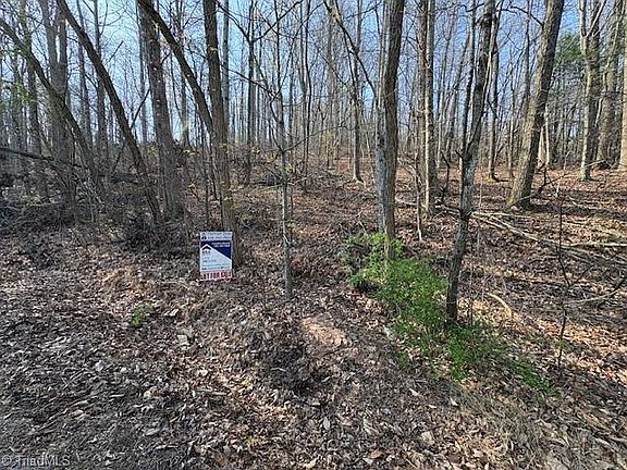 5th image of Holly Tree Dr Lot 35