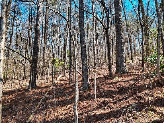 3rd image of 1728 Spring View Ln