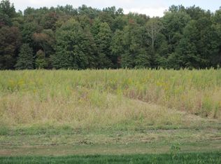 0 Dustin Rd, Galena, OH 43021