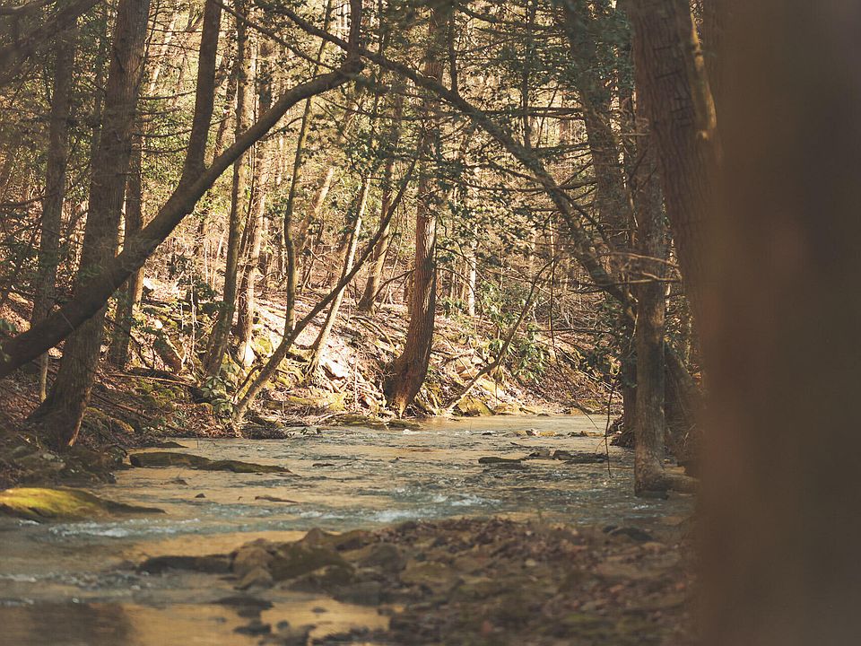 1st image of 12733 Jones Gap Rd