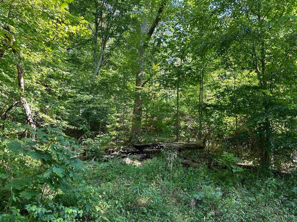 0 Stone Lick Rd, Kenna, WV 25248