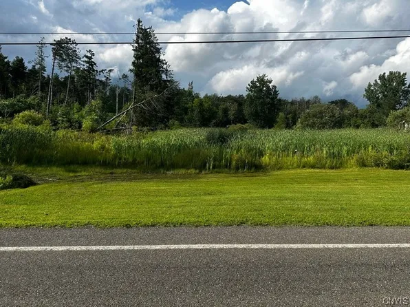 0 Cold Brook Rd #10, Homer, NY 13077
