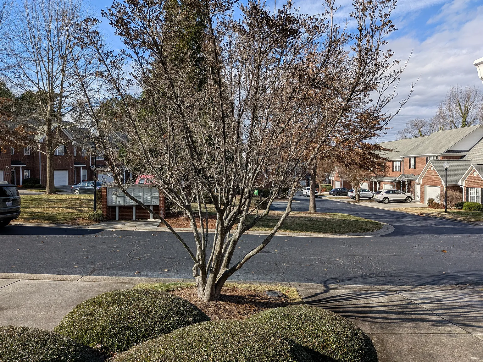 3 bed, 2.5 bath, 1455 sqft, $2,200 — Photo 3