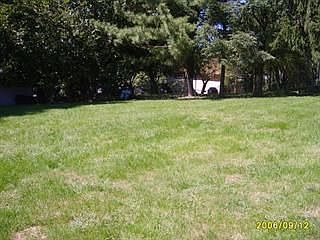 Wonderful Backyard View
