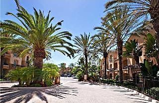 4th image of 10848 Scripps Ranch Blvd APT 103