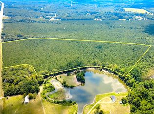 Highway 38 S LOT WP001, Blenheim, SC 29516