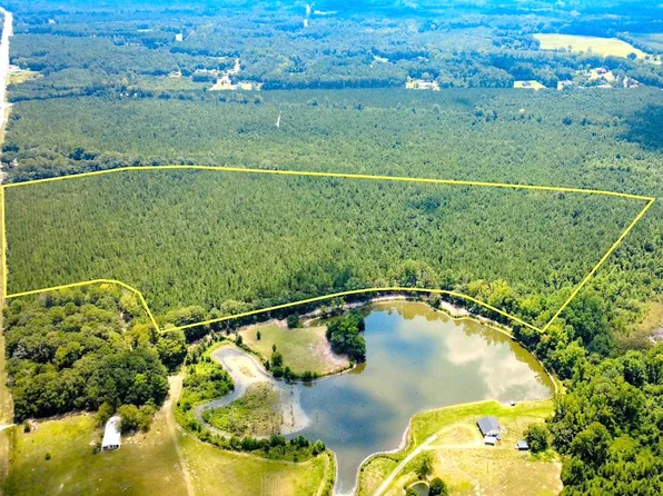 Highway 38 S Lot Wp001, Blenheim, SC 29516