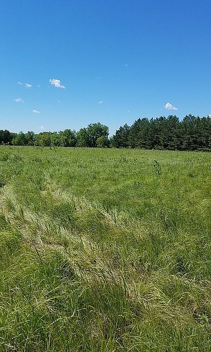 1st image of 1404 County Road 5 SW