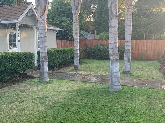 Front yard
