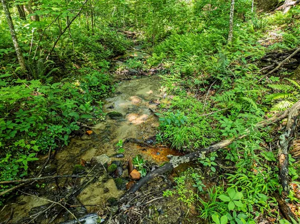 144 Saint Andrews Way, Ellijay, GA 30536