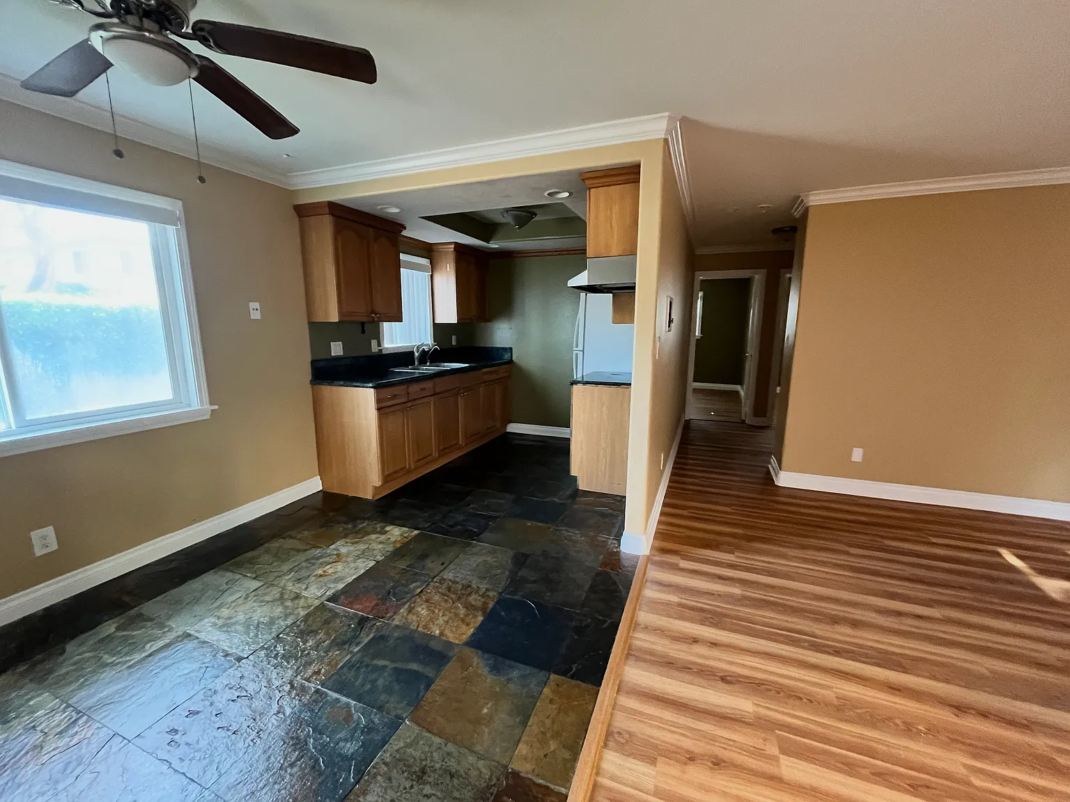 234 Daisy Ave — Photo 4