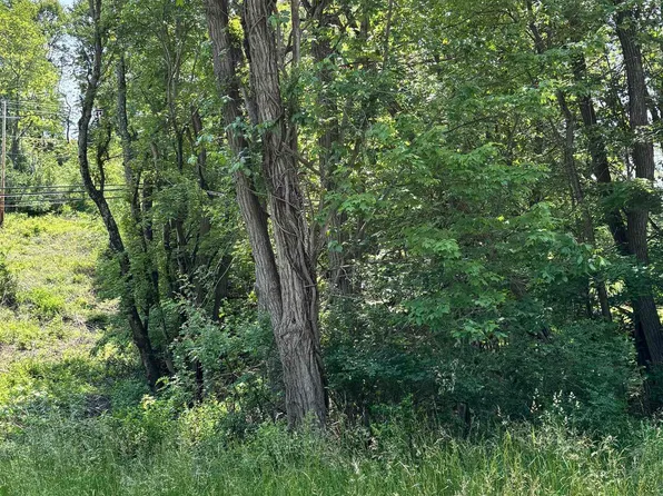 LOT 4 Barbour County Hwy, Philippi, WV 26416
