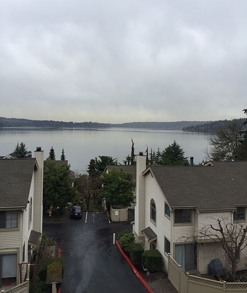 view of Lake Sammamish